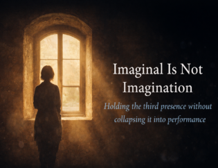 A silhouetted figure stands at a glowing window in a dark room beside the title Imaginal Is Not Imagination.